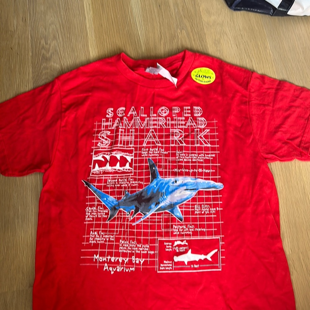 NWT Monterey bay aquarium youth shark t shirt size m